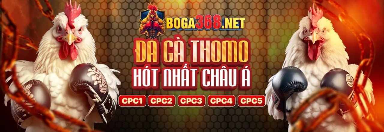 Hình ảnh chính sách cookie B66 Khuyến Mãi