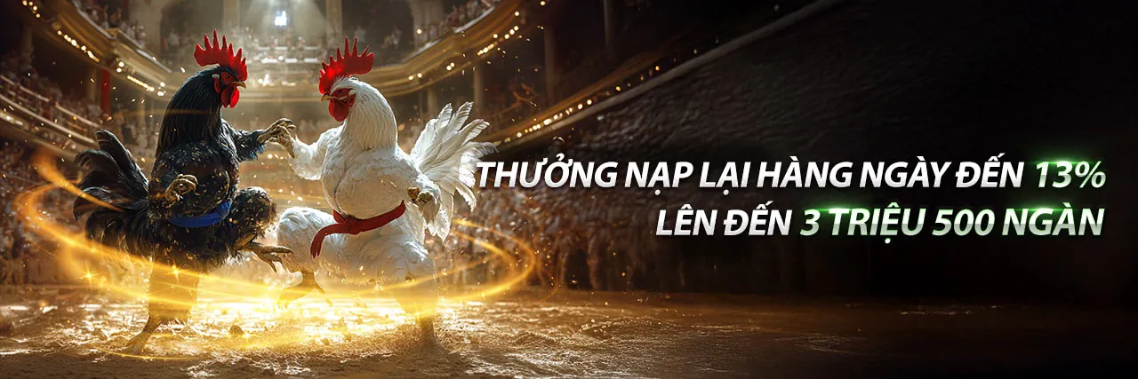 Các chương trình khuyến mãi hấp dẫn tại B66