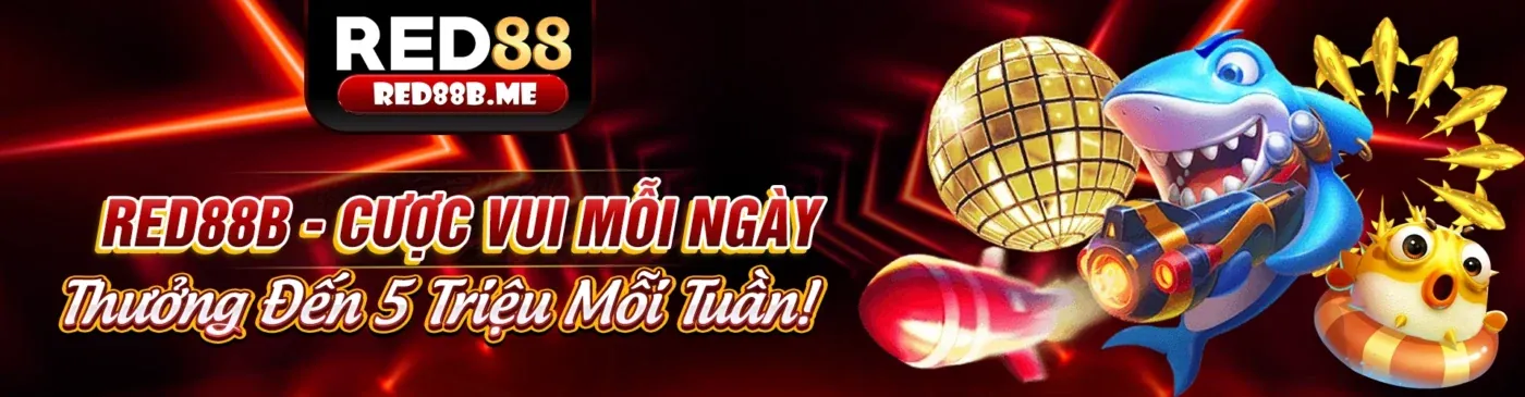 Cá cược thể thao B66 khuyến mãi hấp dẫn