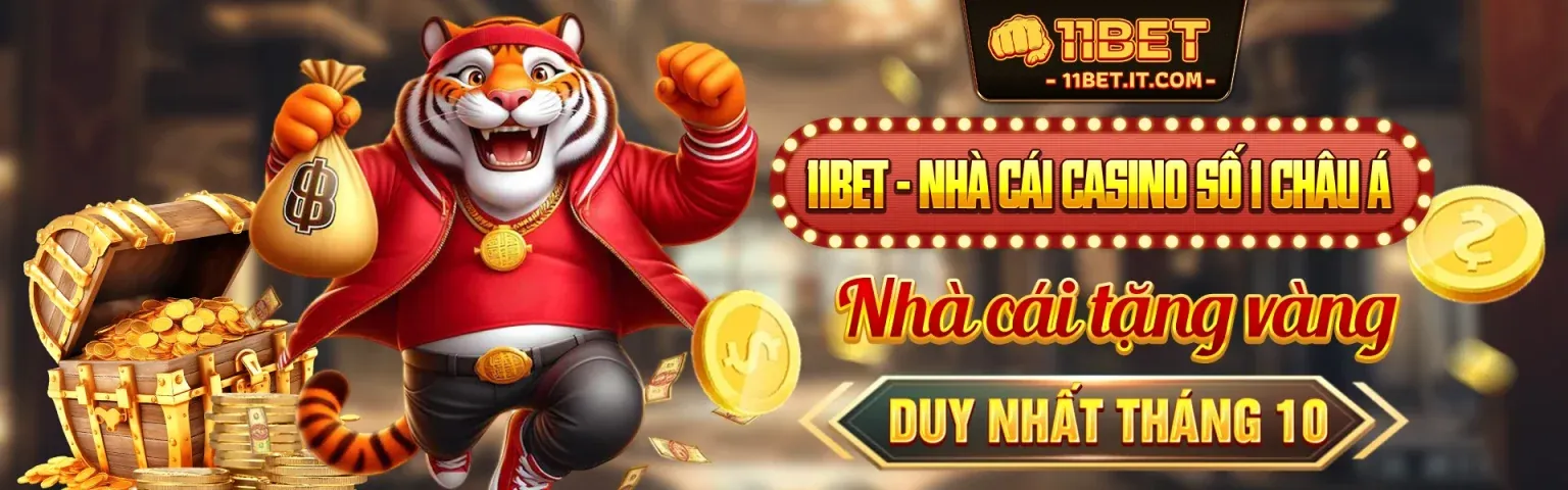 Hình ảnh chính của Blog B66 Khuyến Mãi