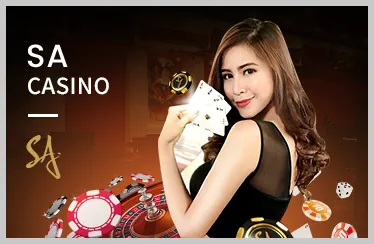 Cá cược Bóng chuyền B66